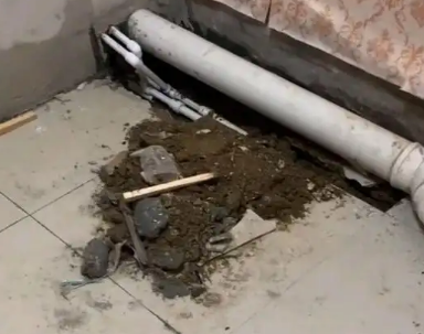 龙州卫生间漏水检测哪家好