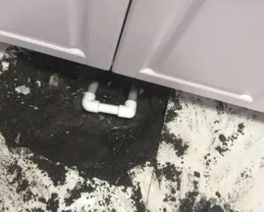 龙州查漏水哪家好
